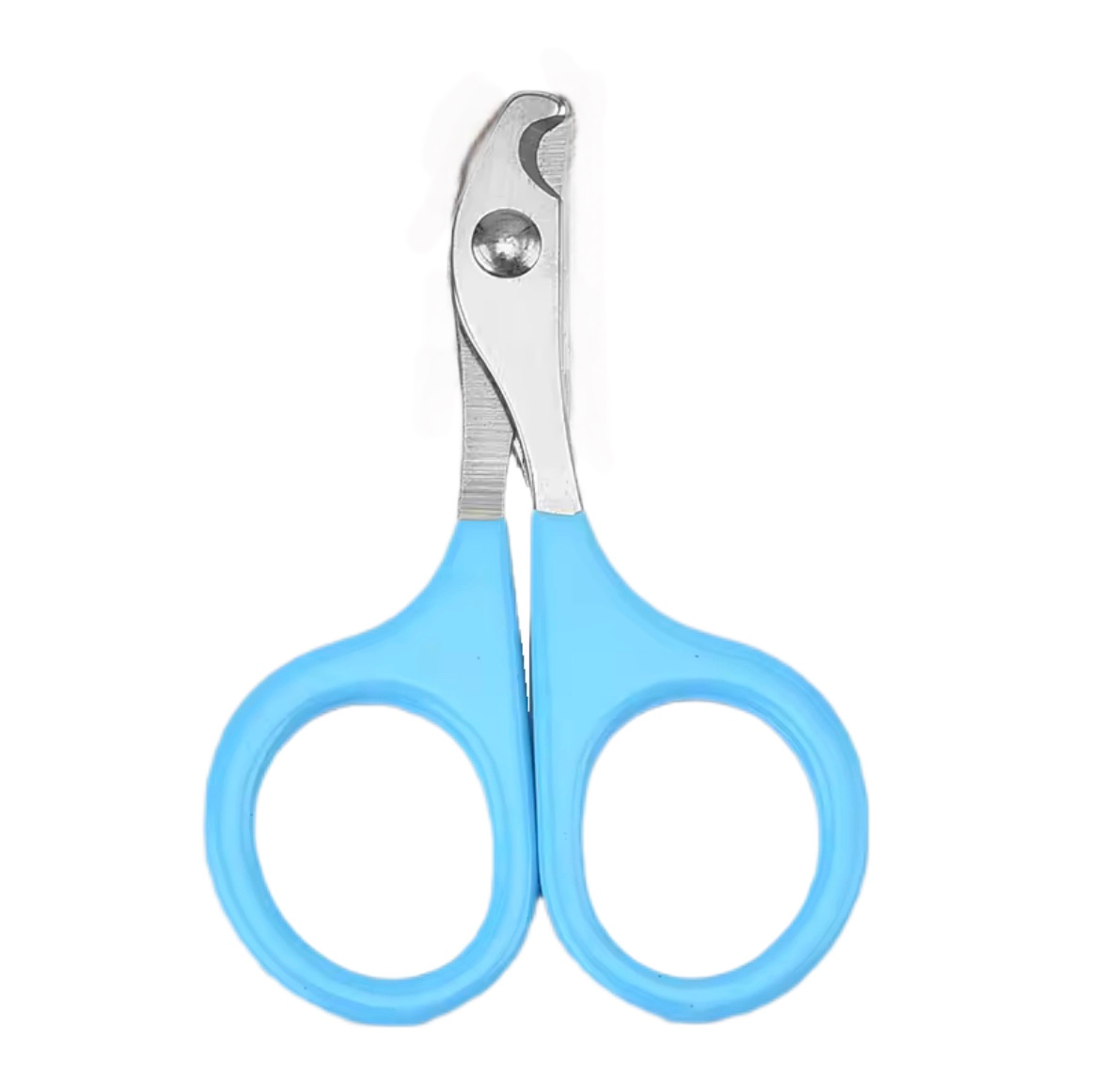 Ciseaux à ongles professionnels pour chien