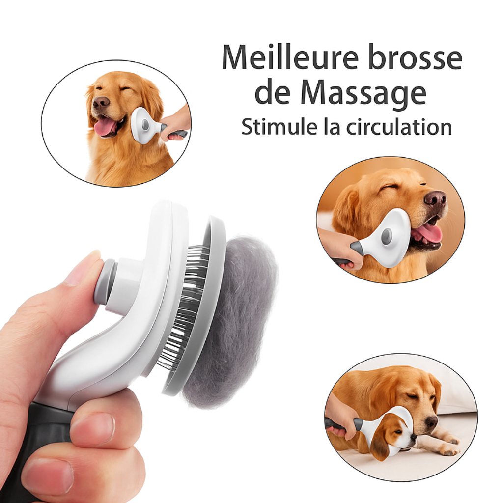 Brosse démêlante auto-nettoyante pour chien