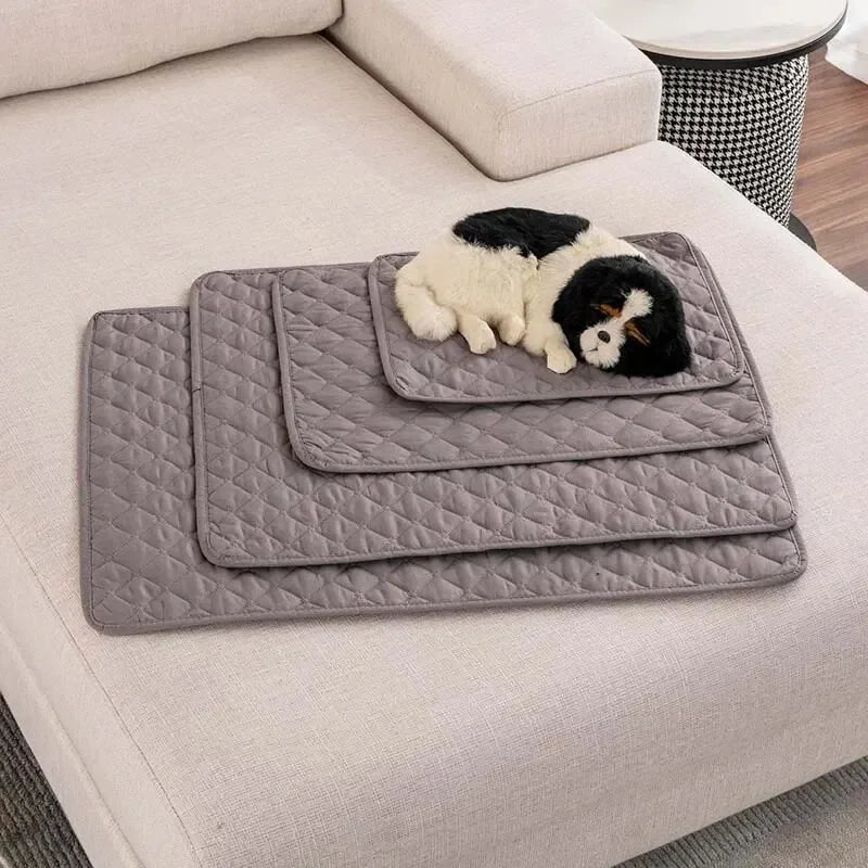 Couverture de Protection Imperméable & Réutilisable pour Chien