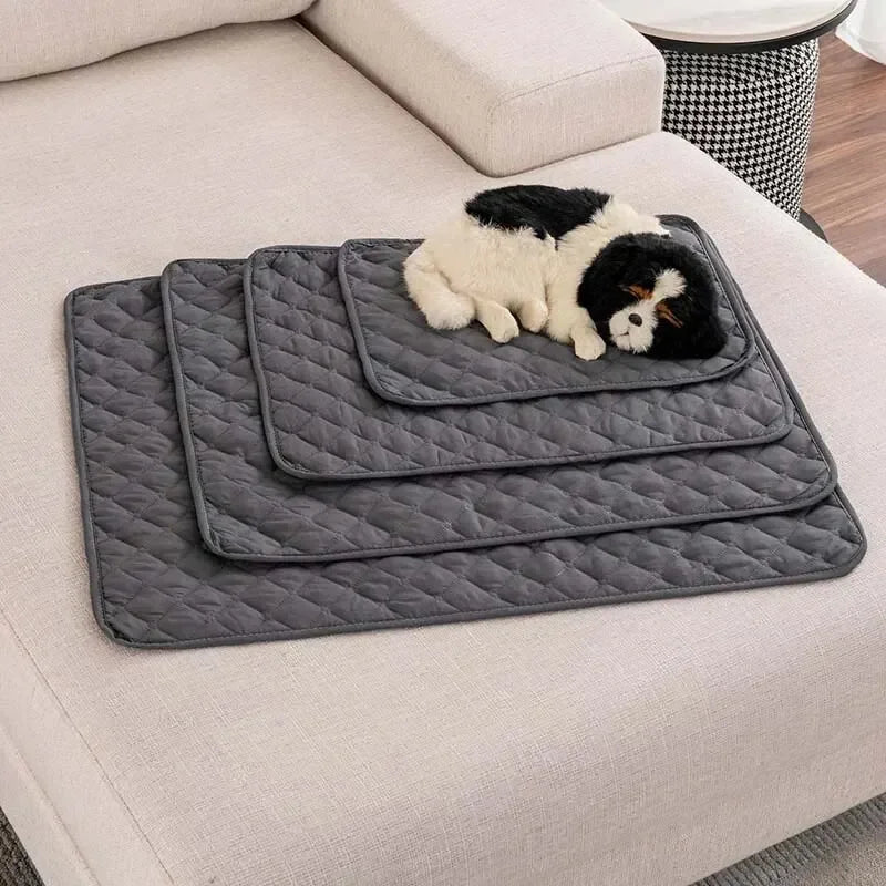 Couverture de Protection Imperméable & Réutilisable pour Chien