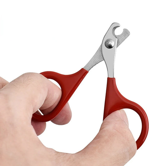 Ciseaux à ongles professionnels pour chien